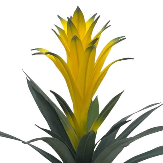 18" Potted Bromeliad Plant by Ashland®